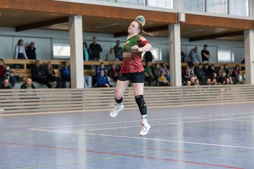 Bild 253 - F HSG Kremperheide/Muensterdorf - ATSV Stockelsdorf 2 : Ergebnis: 47:32